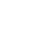 icon-fact 3