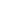 icon-fact 4