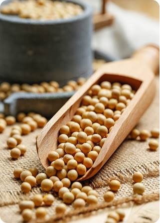 Fermented soybeans and natto ingredients