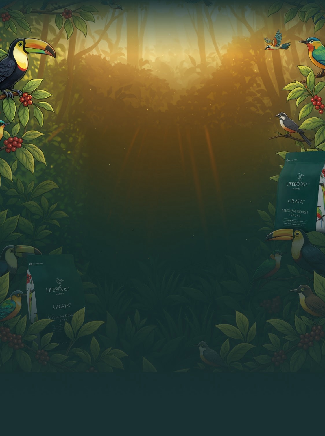Promotional offer background