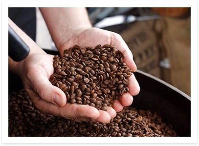 Specialty Bean